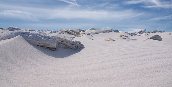 The Beach