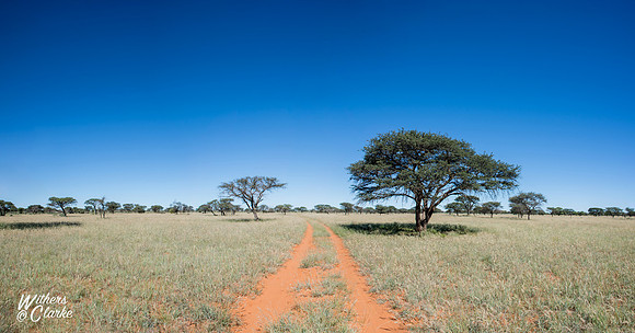 Northern Cape Landscape