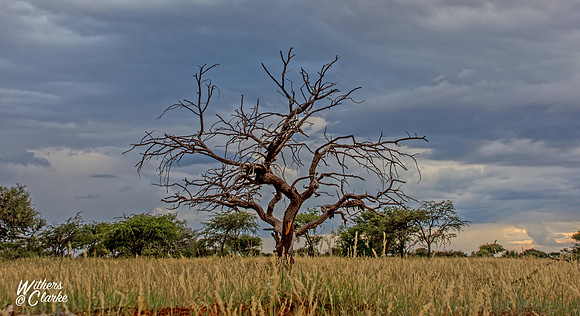 Waiting For The Storm