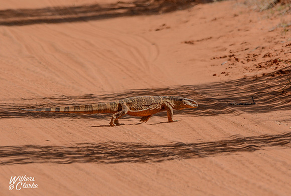 Rock Monitor
