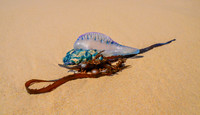 Washed Up