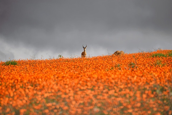 Waiting For The Storm