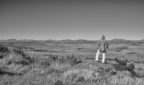 Surveying The Landscape