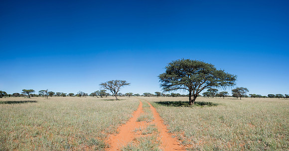 Northern Cape Landscape