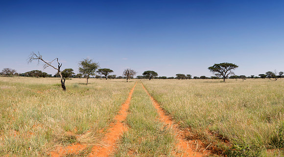 Northern Cape Landscape
