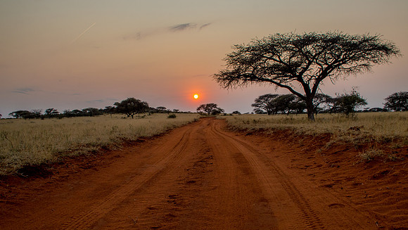 Heading Out At Sunrise - Northern Cape