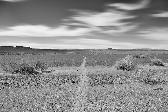 Antelope Track