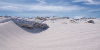 The Beach